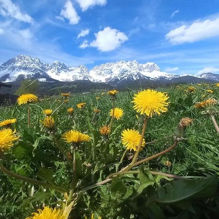 Ferienwohnung Lara Scheffau am Wilden Kaiser Exteriör bild
