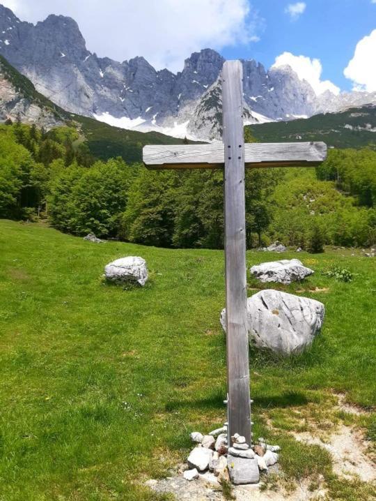 Ferienwohnung Lara Scheffau am Wilden Kaiser Exteriör bild