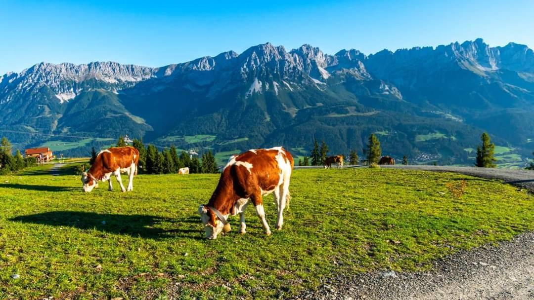 Ferienwohnung Lara Scheffau am Wilden Kaiser Exteriör bild