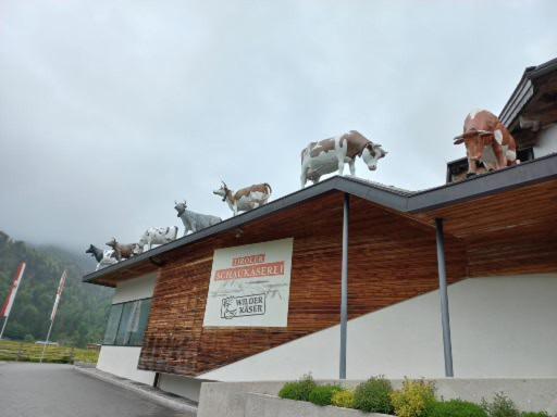 Ferienwohnung Lara Scheffau am Wilden Kaiser Exteriör bild