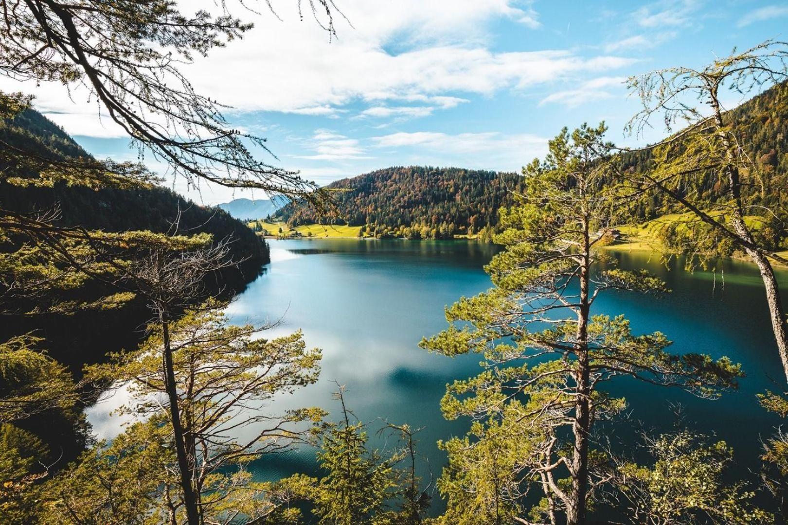 Ferienwohnung Lara Scheffau am Wilden Kaiser Exteriör bild